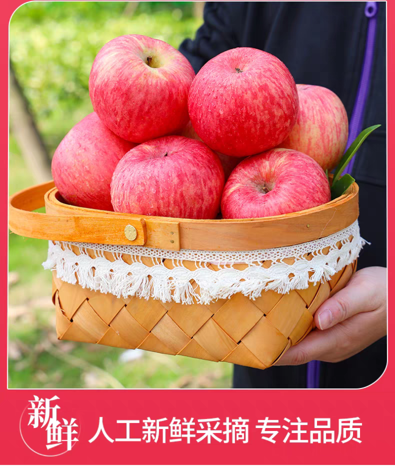 苹果新鲜水果应当季一整箱脆甜红寒富7580特级大冰糖心