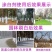 树木树干涂白剂防冻抗病防寒杀菌树木防虫涂白剂病虫害防护