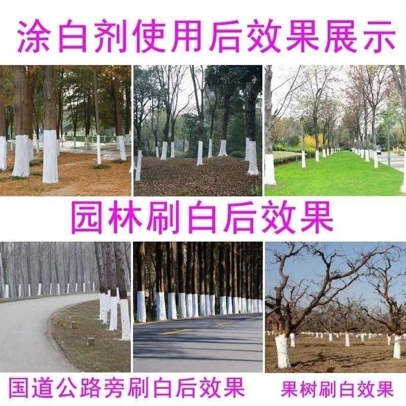树木树干涂白剂防冻抗病防寒杀菌树木防虫涂白剂病虫害防护