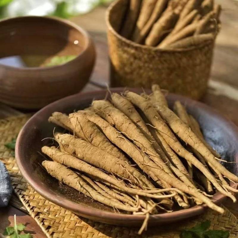 甜当归新鲜甜当归当归西归大凉山甜当归鲜当归