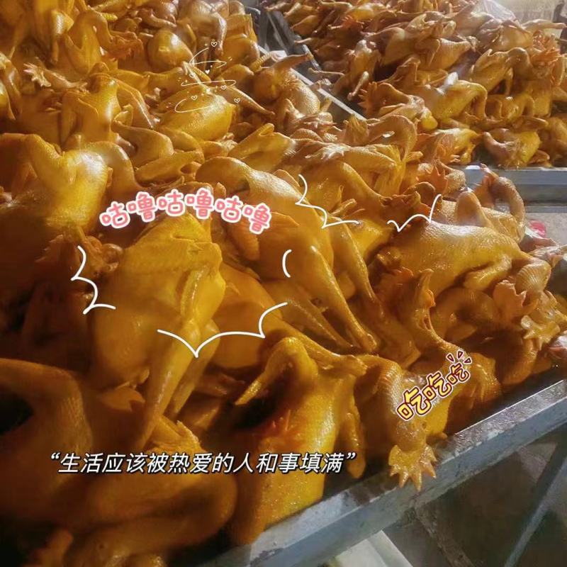 精品加工椒麻鸡，麻椒鸡电商**