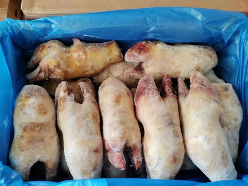火烧牛蹄牛脚掌火烧去毛牛蹄红烧炖汤