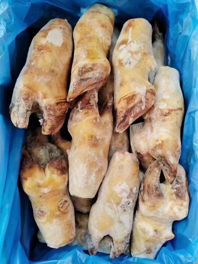 火烧牛蹄牛脚掌火烧去毛牛蹄红烧炖汤