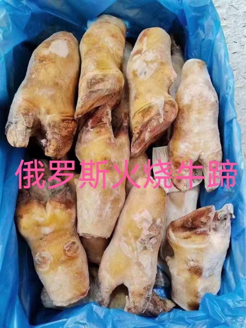 火烧牛蹄牛脚掌火烧去毛牛蹄红烧炖汤