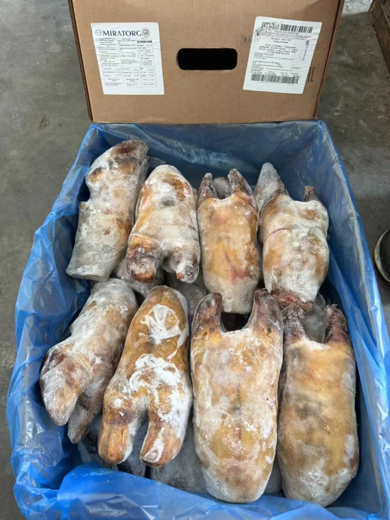 火烧牛蹄牛脚掌火烧去毛牛蹄红烧炖汤