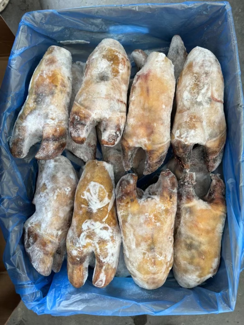 火烧牛蹄牛脚掌火烧去毛牛蹄红烧炖汤