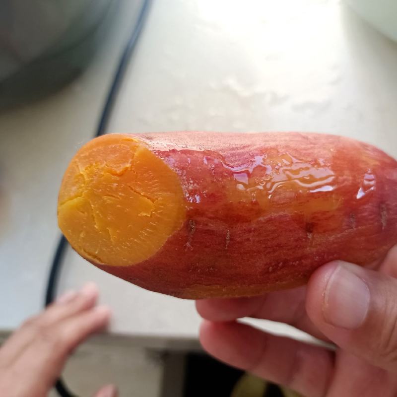 丹东红薯地瓜