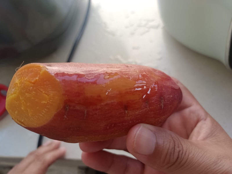 丹东红薯地瓜