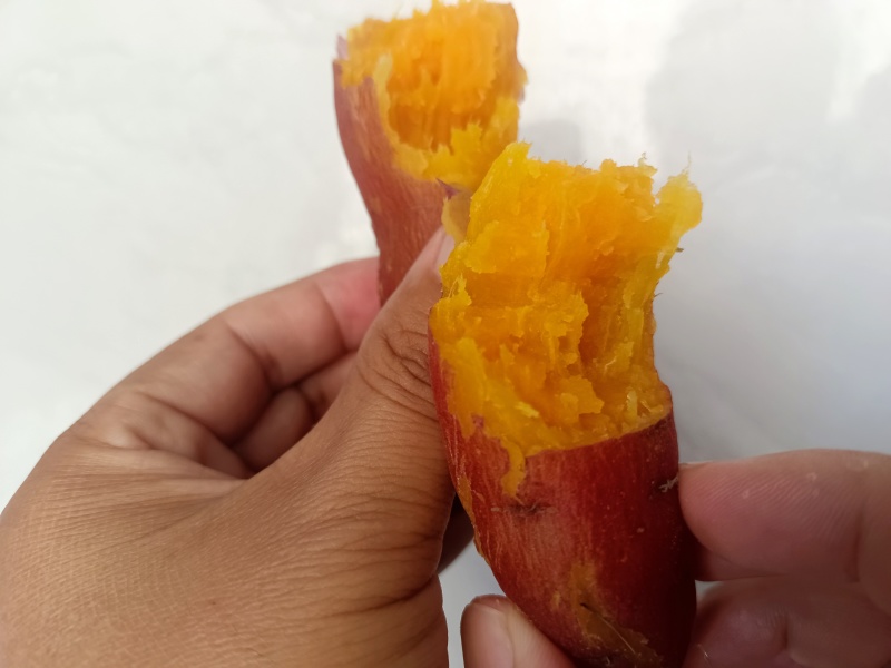 丹东红薯地瓜
