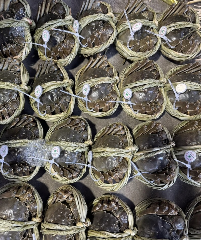 大闸蟹兴化安丰蟹2.5母个个有蟹黄保证鲜活