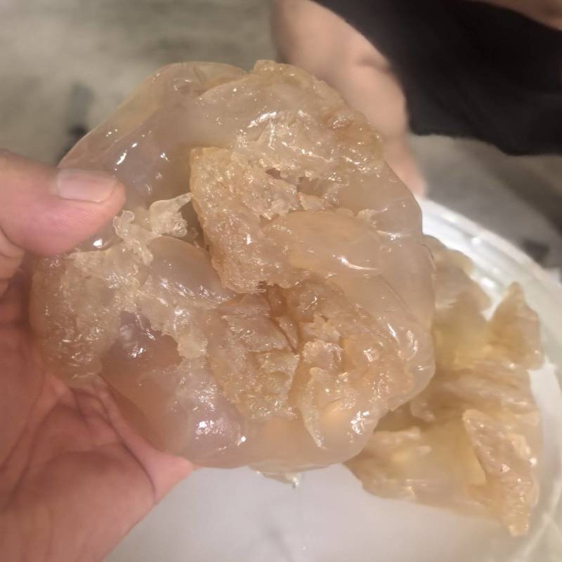 海蜇规格齐全大量有货对接全国市场可视频看