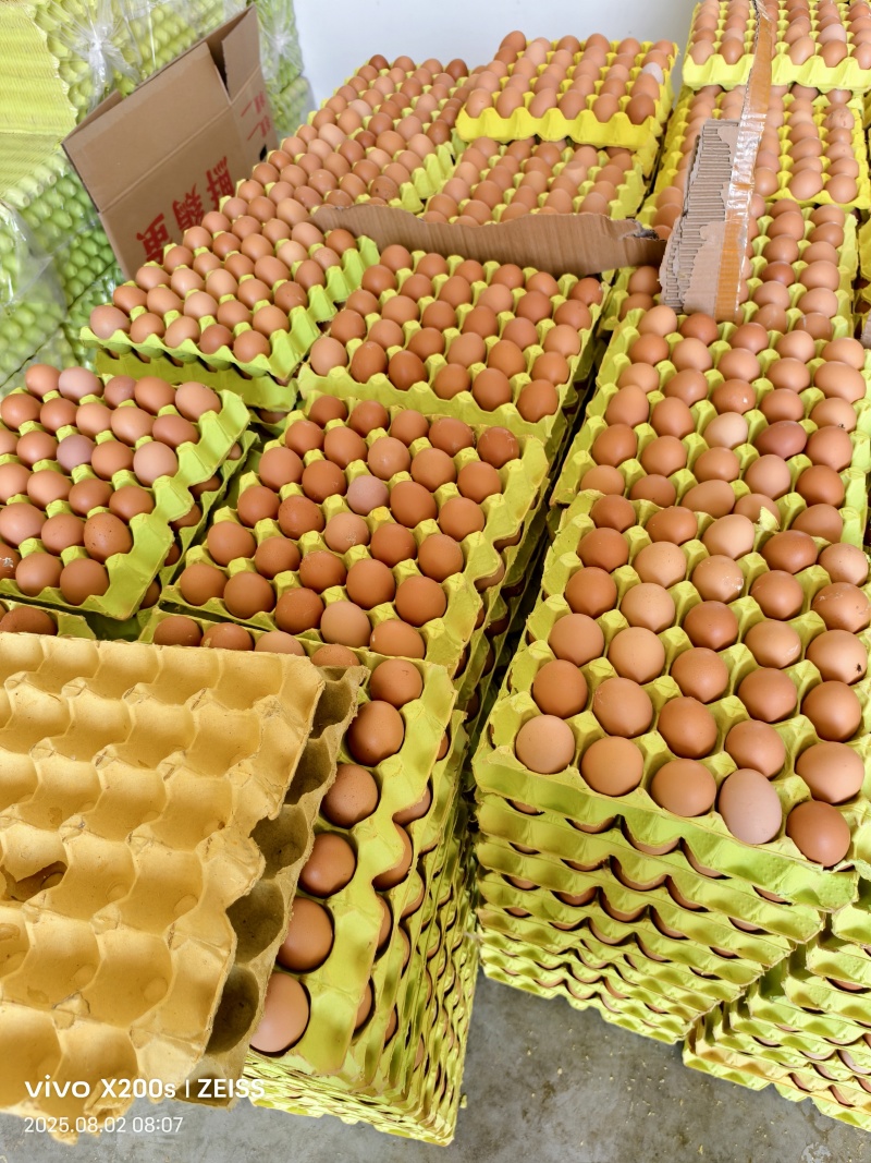 湖北襄阳长期供应精品大中小码红蛋，保质保量，诚信经营