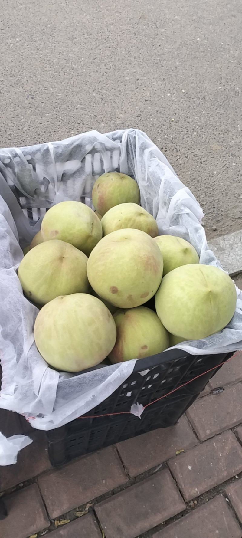 桃