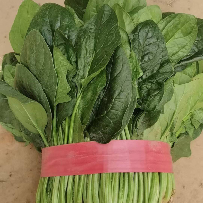 永年蔬菜大叶菠菜规格齐全啥菜都有帮忙找车价格便宜欢迎联系