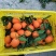 湖北精品纽荷尔脐橙大量上市品质保证量大从优一手货源