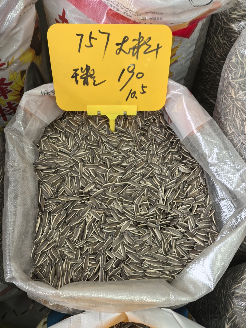 电商，实体。瓜子大量接单内蒙古原产地一件代发
