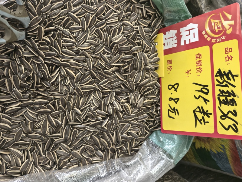 电商，实体。瓜子大量接单内蒙古原产地一件代发