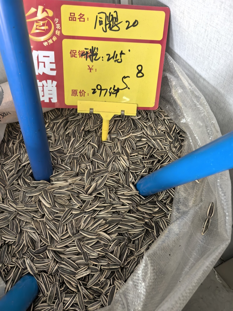 电商，实体。瓜子大量接单内蒙古原产地一件代发