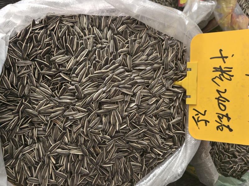 电商，实体。瓜子大量接单内蒙古原产地一件代发