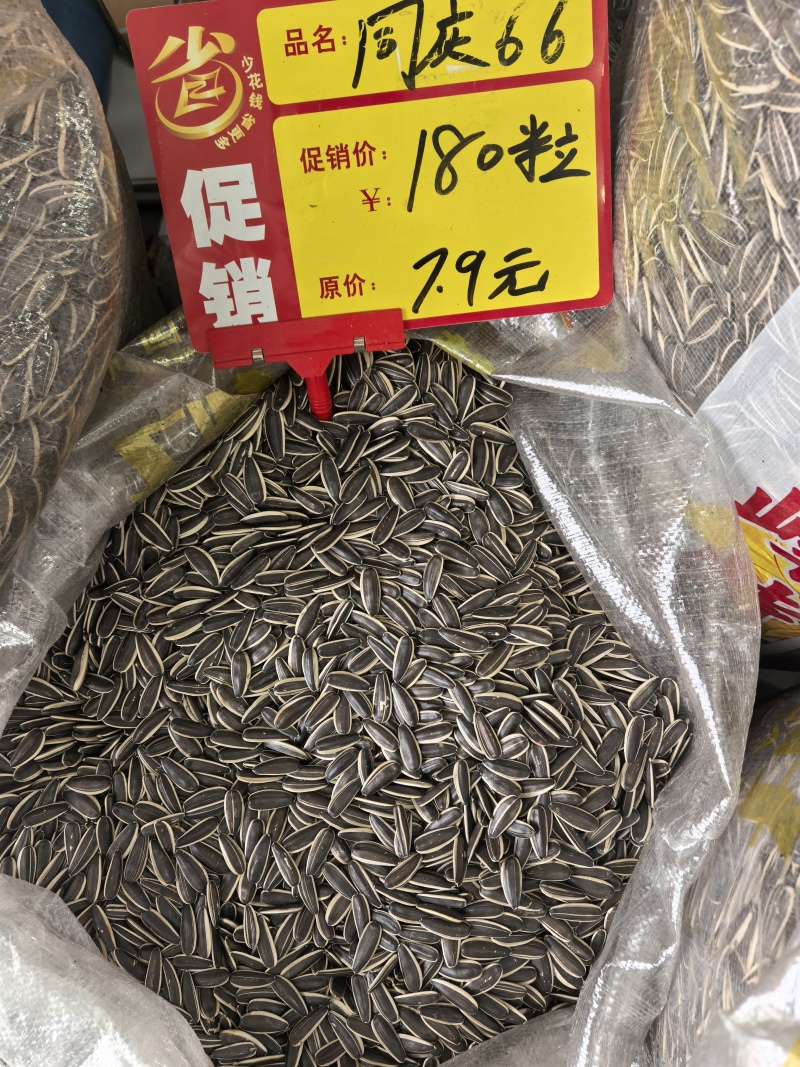 电商，实体。瓜子大量接单内蒙古原产地一件代发