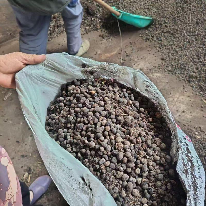 发酵纯羊粪大量上市产地直发欢迎各位老板前来采购