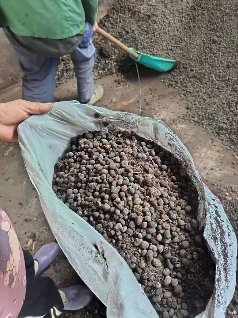 发酵纯羊粪大量上市产地直发欢迎各位老板前来采购