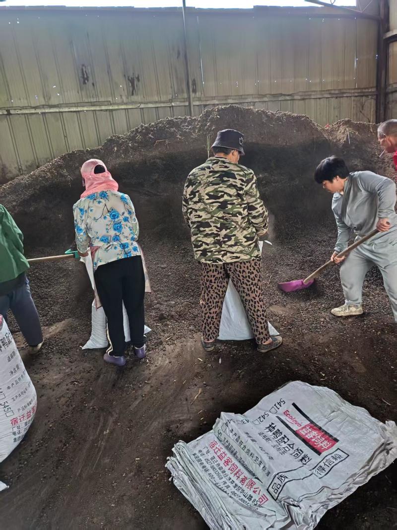 发酵纯羊粪大量上市产地直发欢迎各位老板前来采购