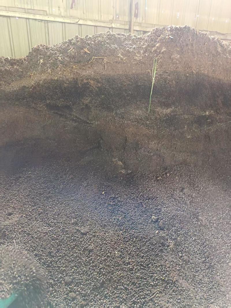 发酵纯羊粪大量上市产地直发欢迎各位老板前来采购