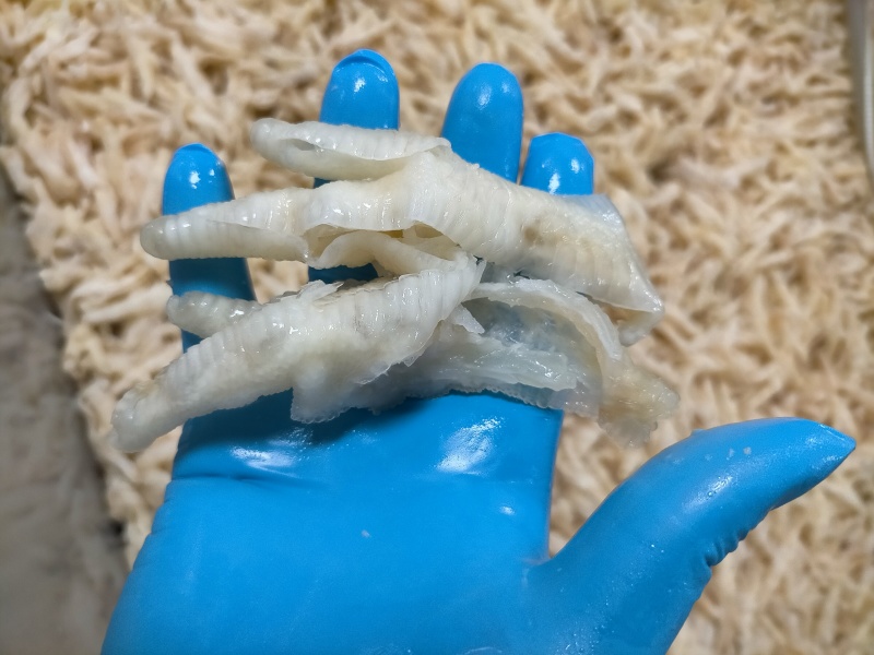 无骨鸡爪批发