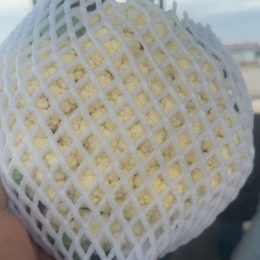 精品有机花大量上市有需要联系
