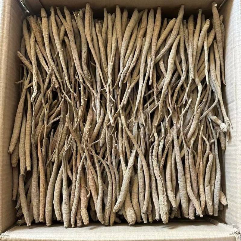 精选四川甜当归干货干当归独角甜当归产地直发质量保证