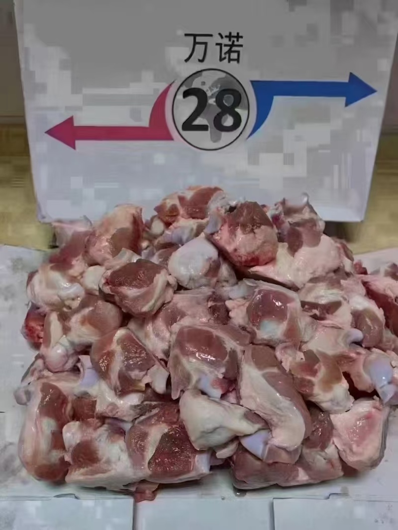 28关节骨