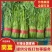 河北邯郸产地直供，精品茼蒿，新鲜直达，品质保证