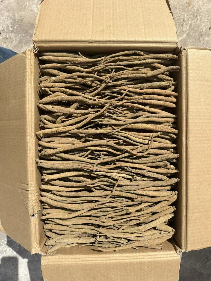 精选四川甜当归干货干当归独角甜当归产地直发质量保证