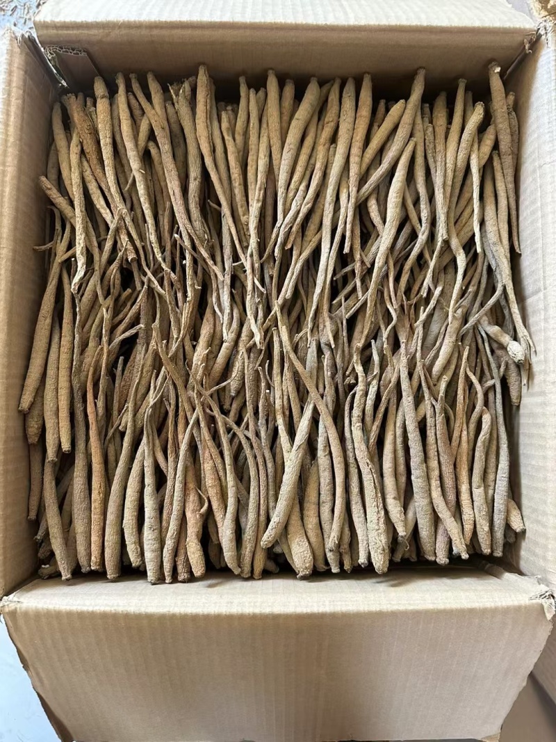 精选四川甜当归干货干当归独角甜当归产地直发质量保证