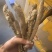 精选四川甜当归干货干当归独角甜当归产地直发质量保证