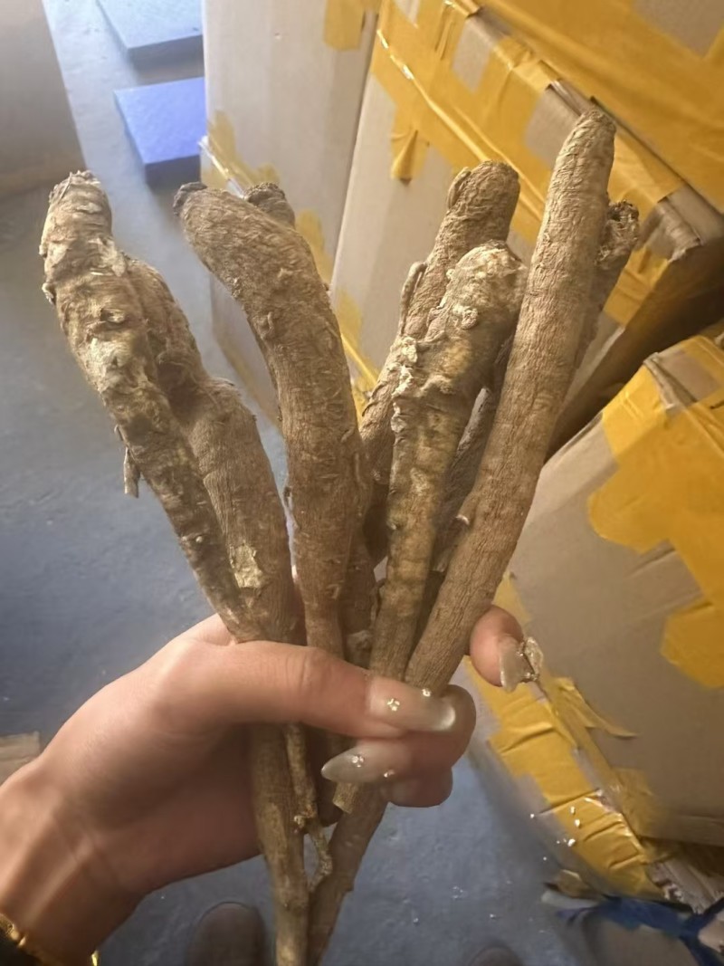 精选四川甜当归干货干当归独角甜当归产地直发质量保证