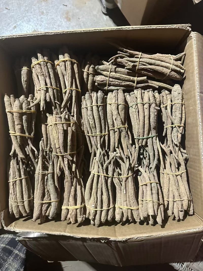精选四川甜当归干货干当归独角甜当归产地直发质量保证