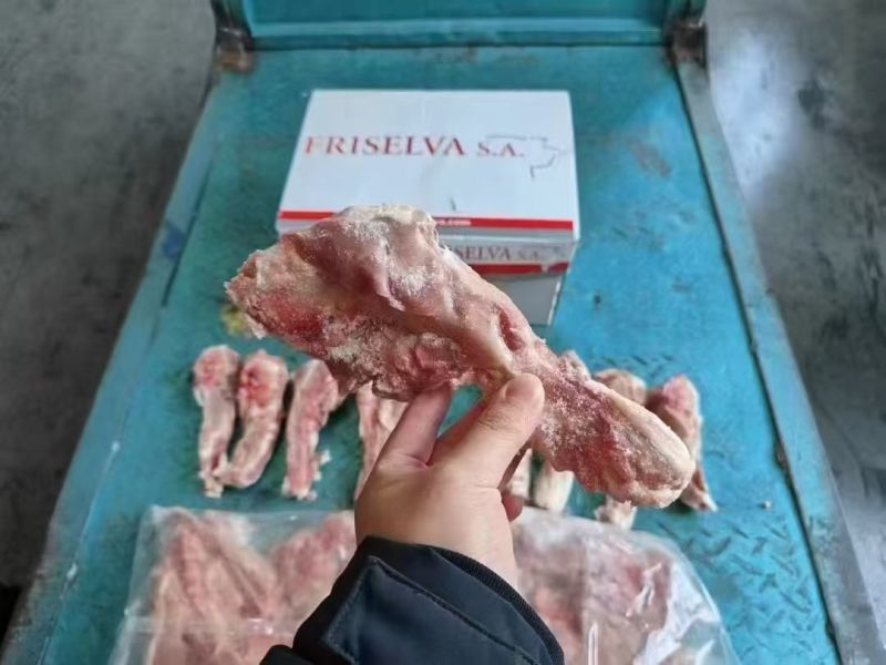 猪尾骨