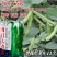 禾瑞丰海门大青皮七星蚕豆种籽高产耐寒大籽粒青皮蚕豆种子