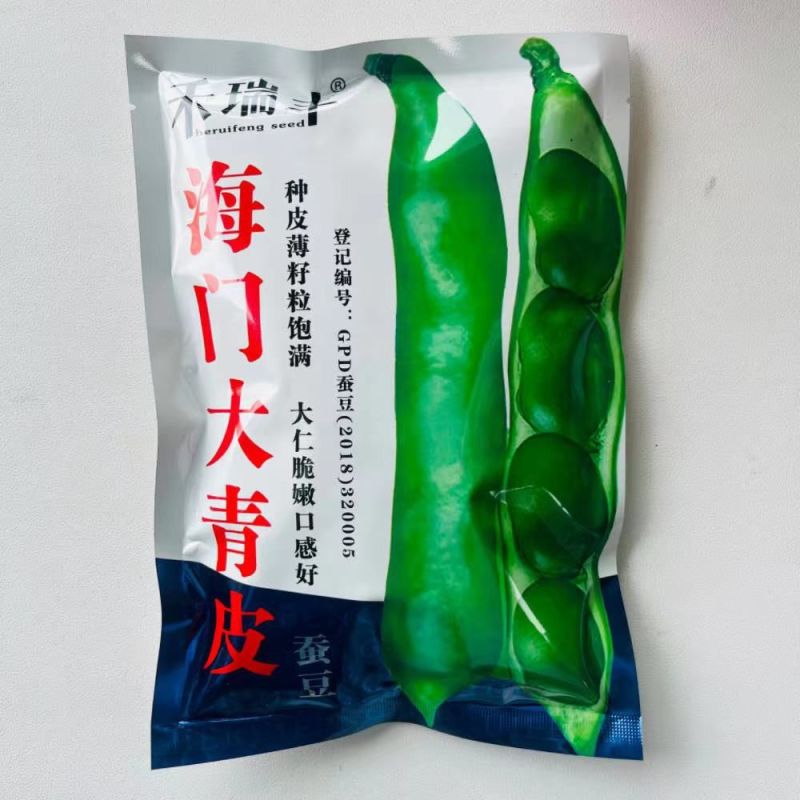 禾瑞丰海门大青皮七星蚕豆种籽高产耐寒大籽粒青皮蚕豆种子