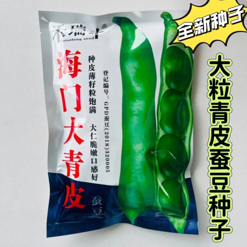 禾瑞丰海门大青皮七星蚕豆种籽高产耐寒大籽粒青皮蚕豆种子