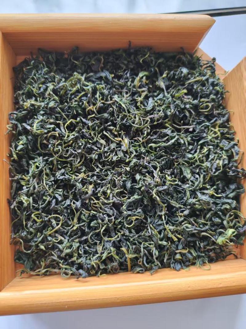 苦丁茶嫩芽大量上市吃，产地直发，品质保证服务周到