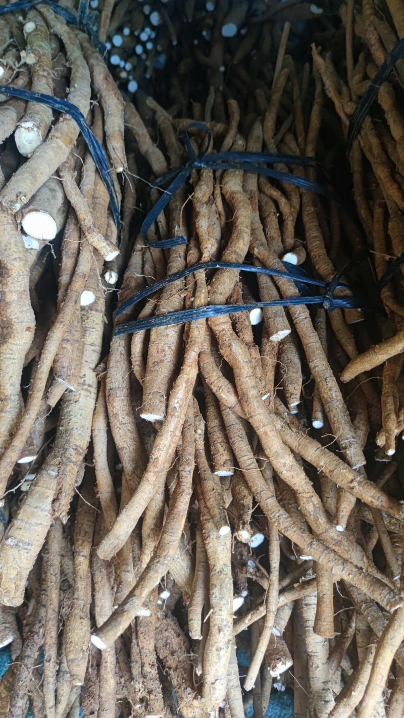 牛大力鲜货