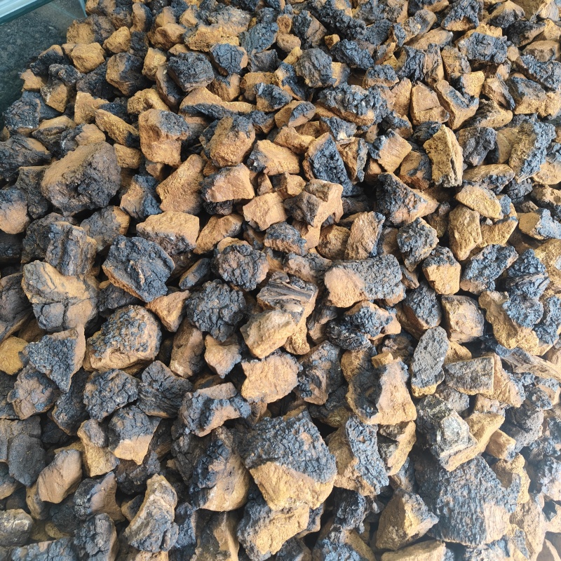 桦树茸长白山野生高品质桦褐孔菌白桦茸桦树黄产地批发