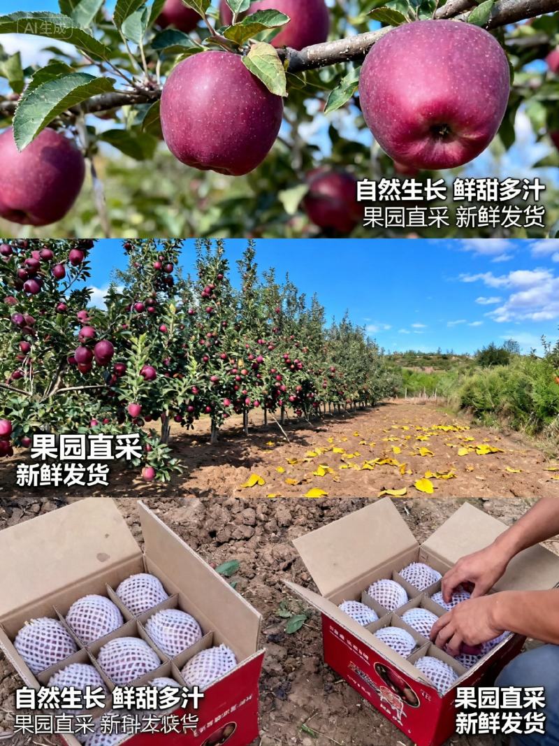 花牛苹果