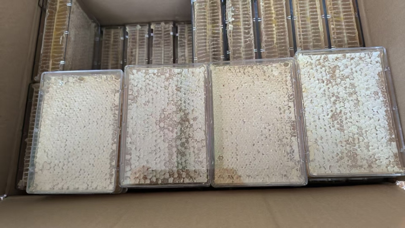 蜂蜜蜂巢蜜原生态***