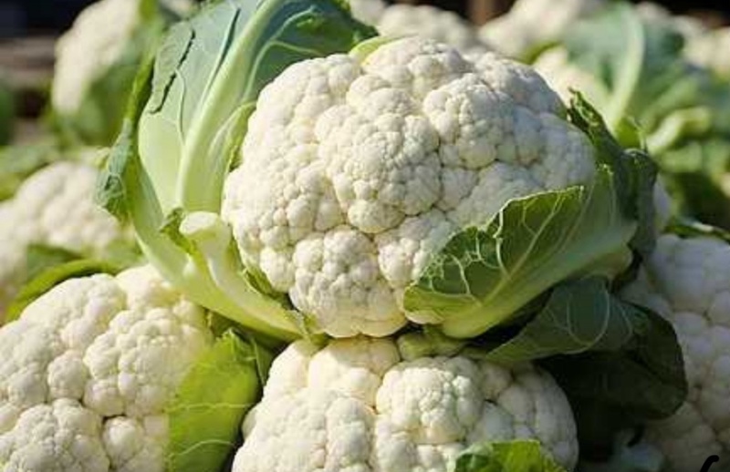 【热卖推荐】安徽砀山松花菜有机菜花保质保量可对接全国