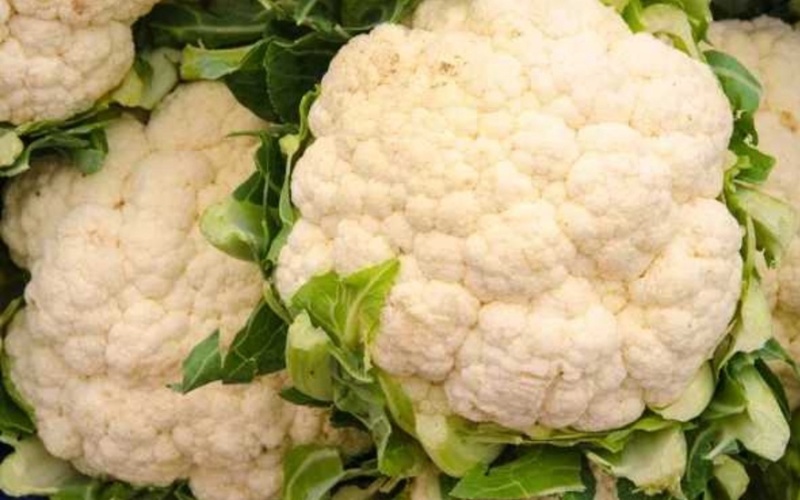 【热卖推荐】安徽砀山松花菜有机菜花保质保量可对接全国