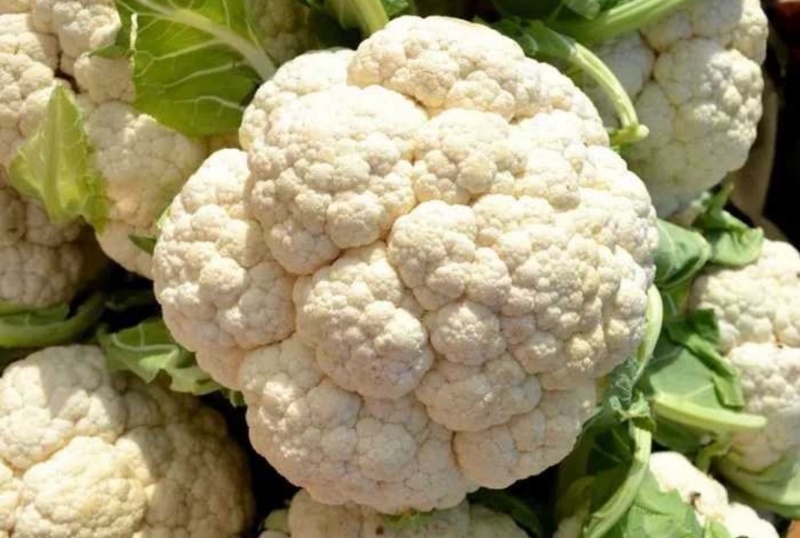 【热卖推荐】安徽砀山松花菜有机菜花保质保量可对接全国